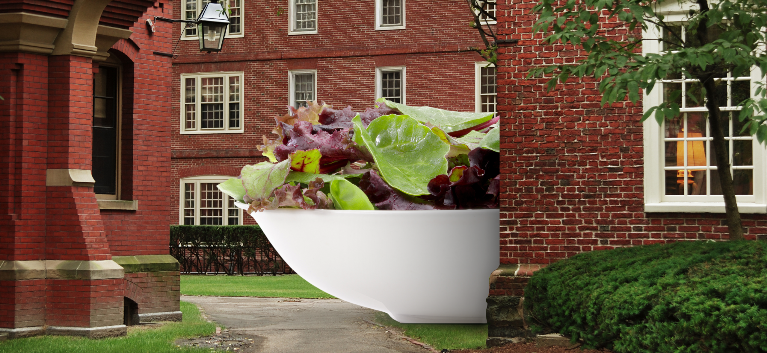 Метод гарвардской тарелки переоце­нен? Как я неделю пыталась есть сбалансированно, но все равно устала от овощей