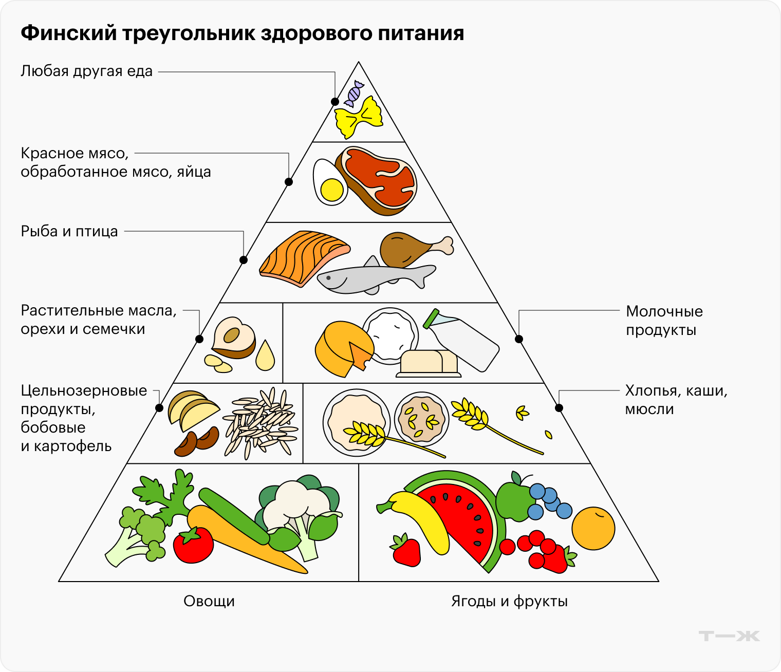 Так выглядит соотношение продуктов при здоровом сбалансированном питании