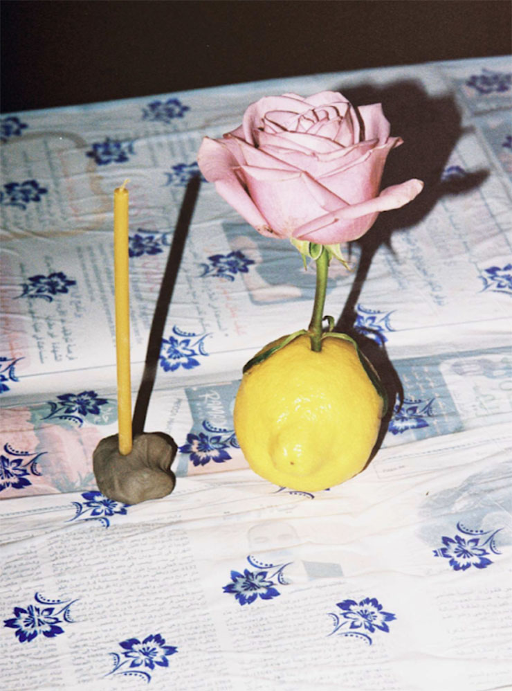 Работы художницы Лайлы Гохар в стиле food art: лимон вместо вазы и картофельная гирлянда. Источник: lailagohar.com