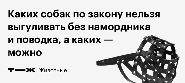 Какой закон собака без намордника. Выгул в наморднике. Каких собак можно выгуливать без намордника. Намордник законодательство. Каких собак можно выгуливать без намордника по закону