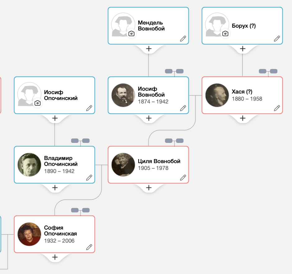 Часть семейного древа в MyHeritage, которую я изучала: от бабушки по маминой линии