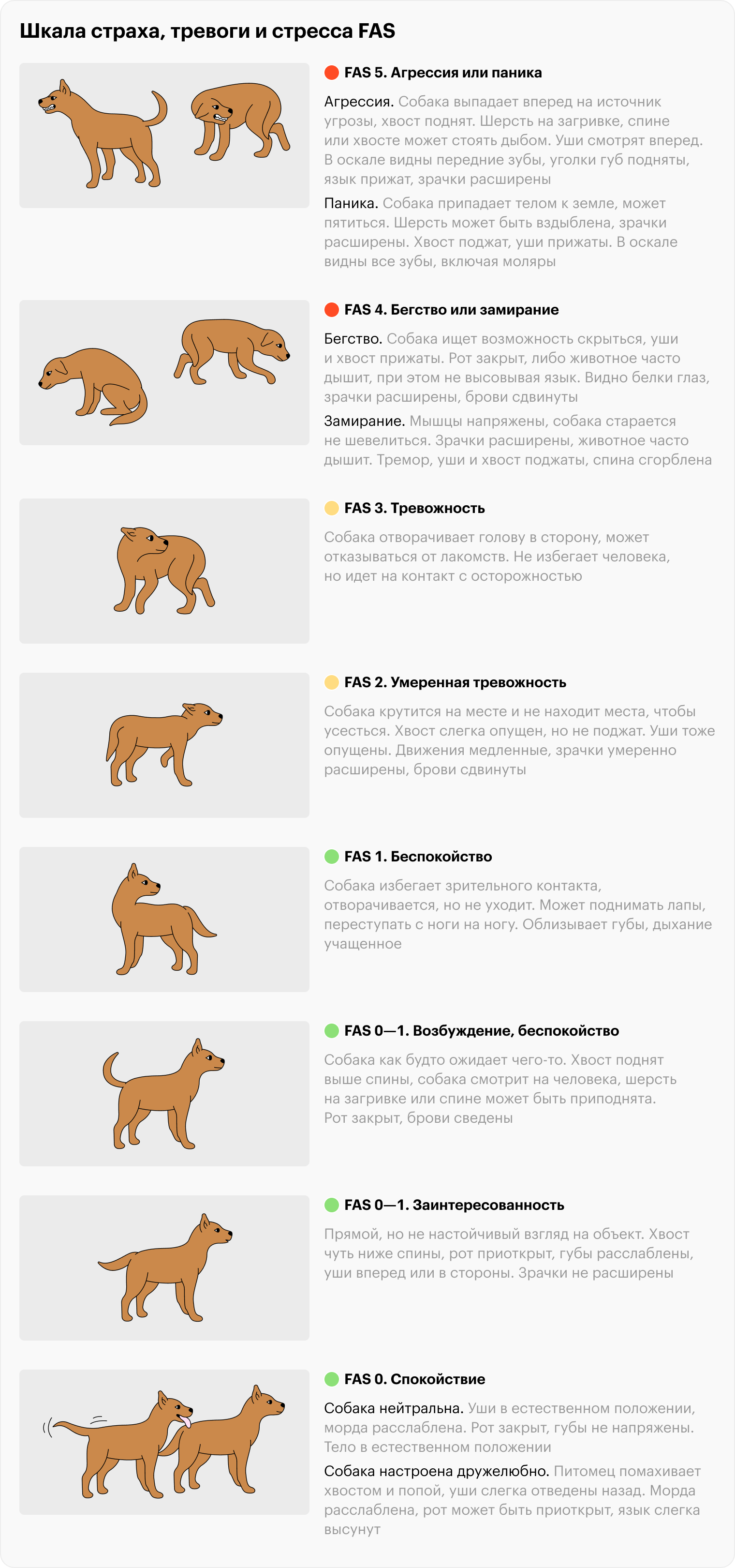 FAS 4 и FAS 5 — красные зоны стресса. Собаке максимально некомфортно, она может проявлять агрессию. Источник: fearfreehappyhomes.com