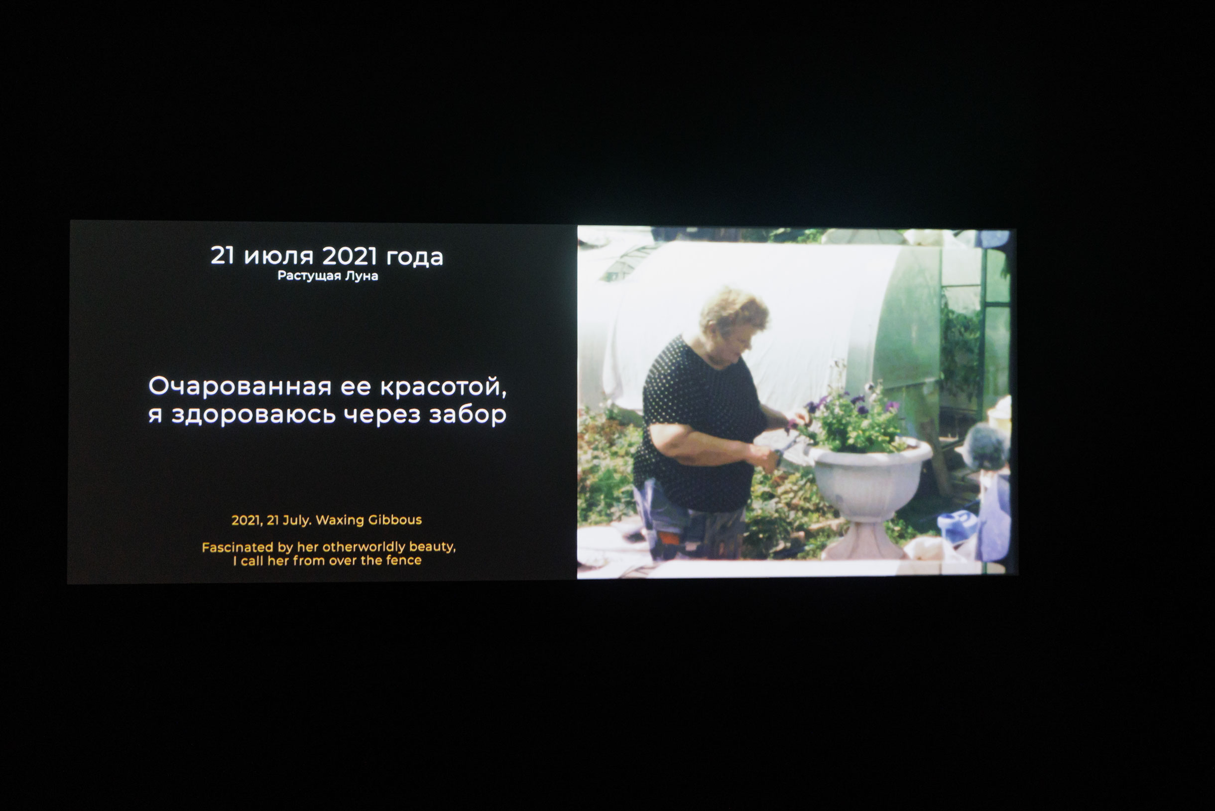Кадр из фильма «Сады наших бабушек», режиссер Ольга Гротова. Выставка «Индекс подобия»