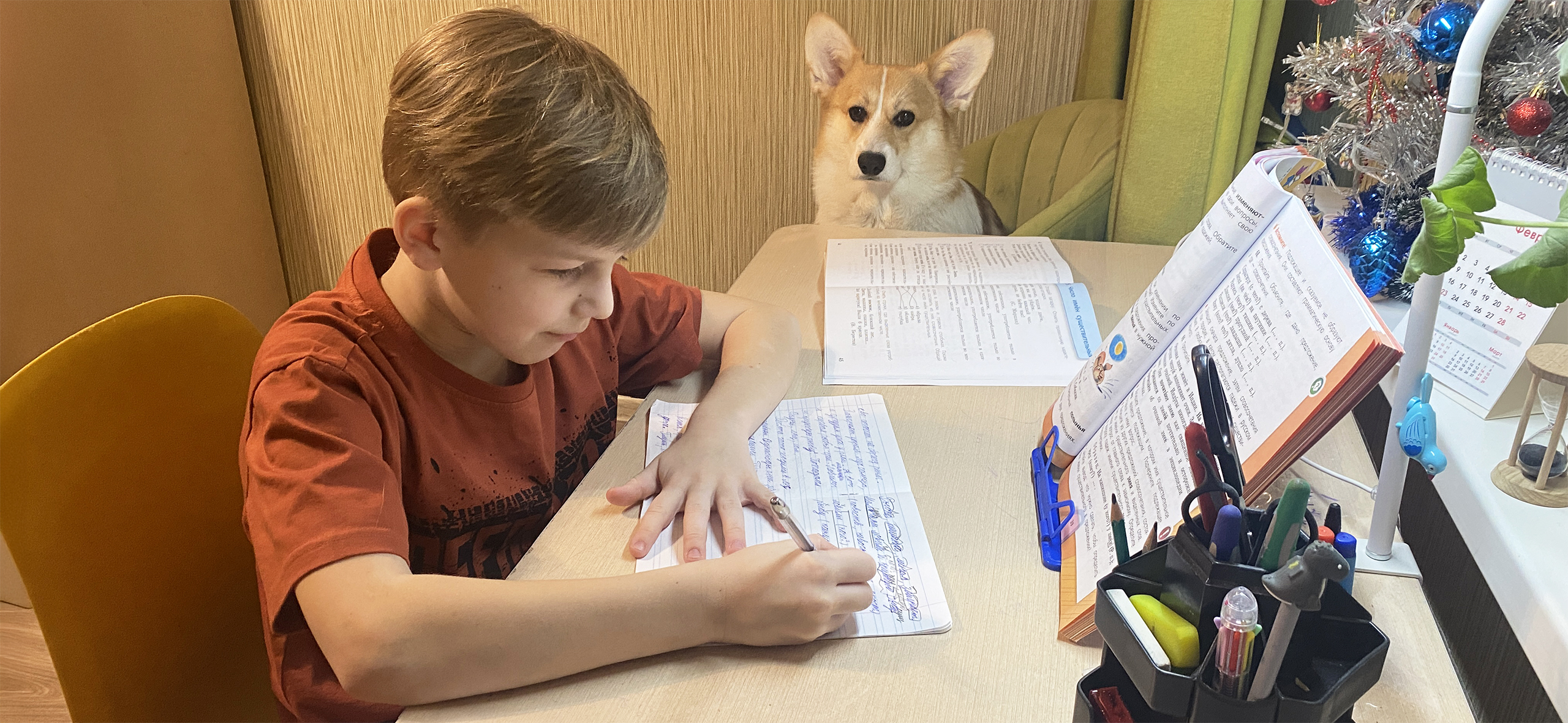 «Бабушки плакали, папа злился, а я думала, что с этим делать»: как мы прошли два класса за год на семей­ном обучении