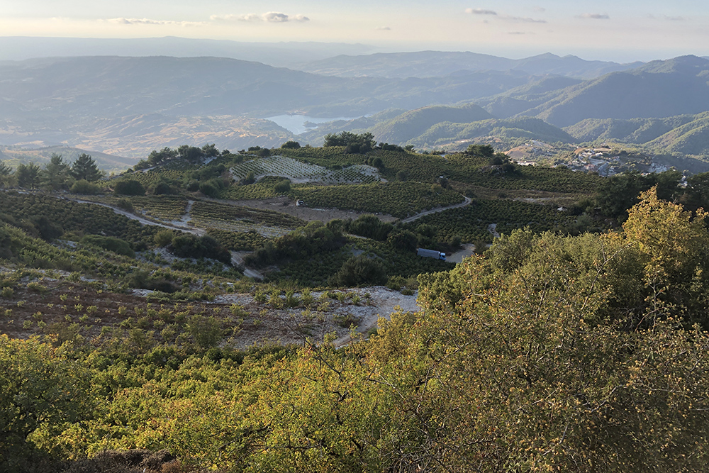 Вид на Троодос со стороны Пафоса. На переднем плане — бесконечные виноградники