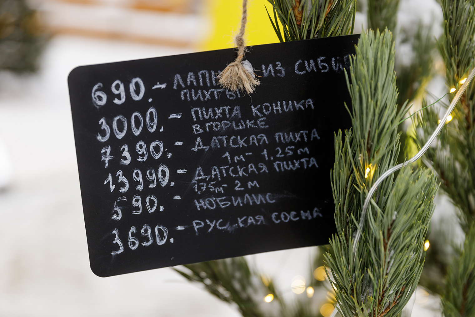 Цены на деревья на новогодней ярмарке