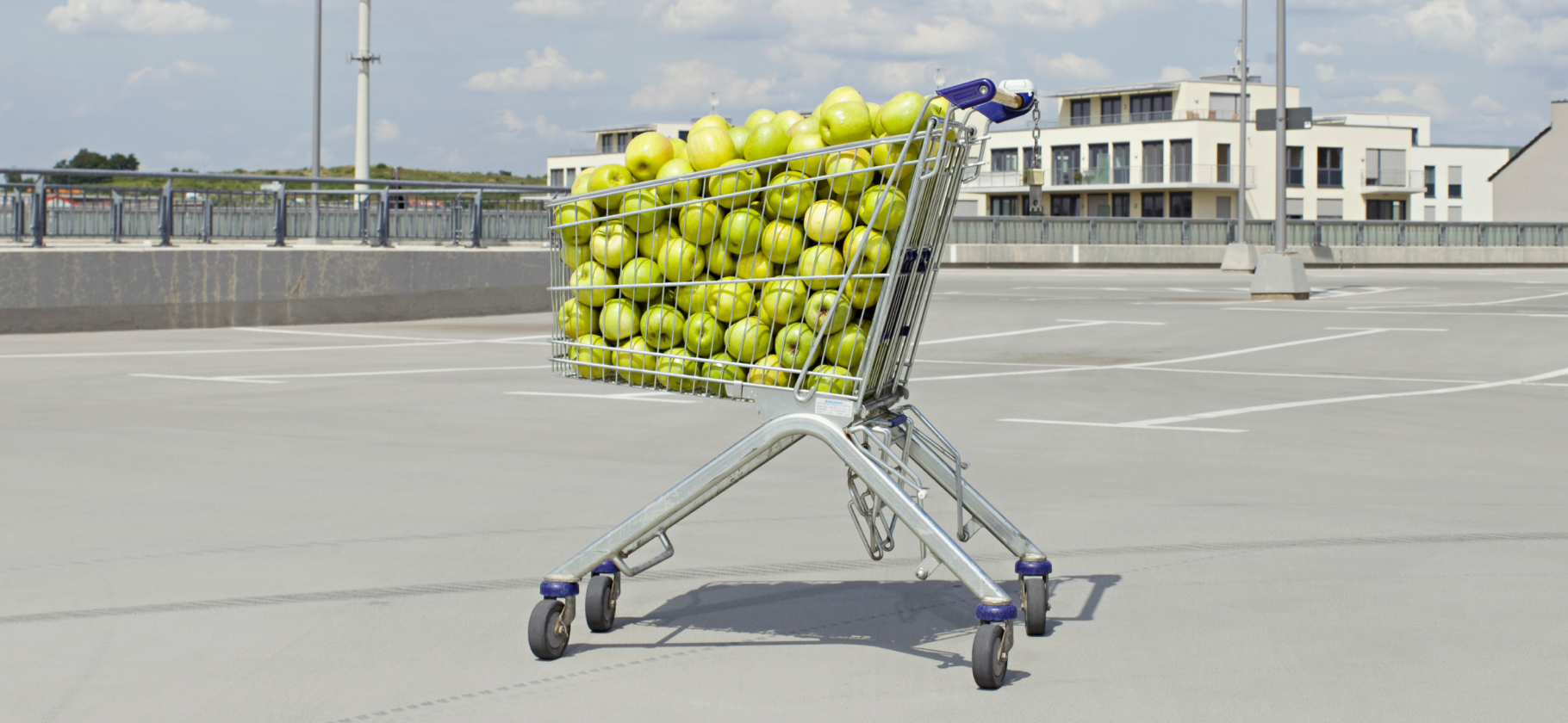 «Крыл нецензурной лексикой»: 6 слу­чаев, когда можно получить компен­сацию за товар или услугу