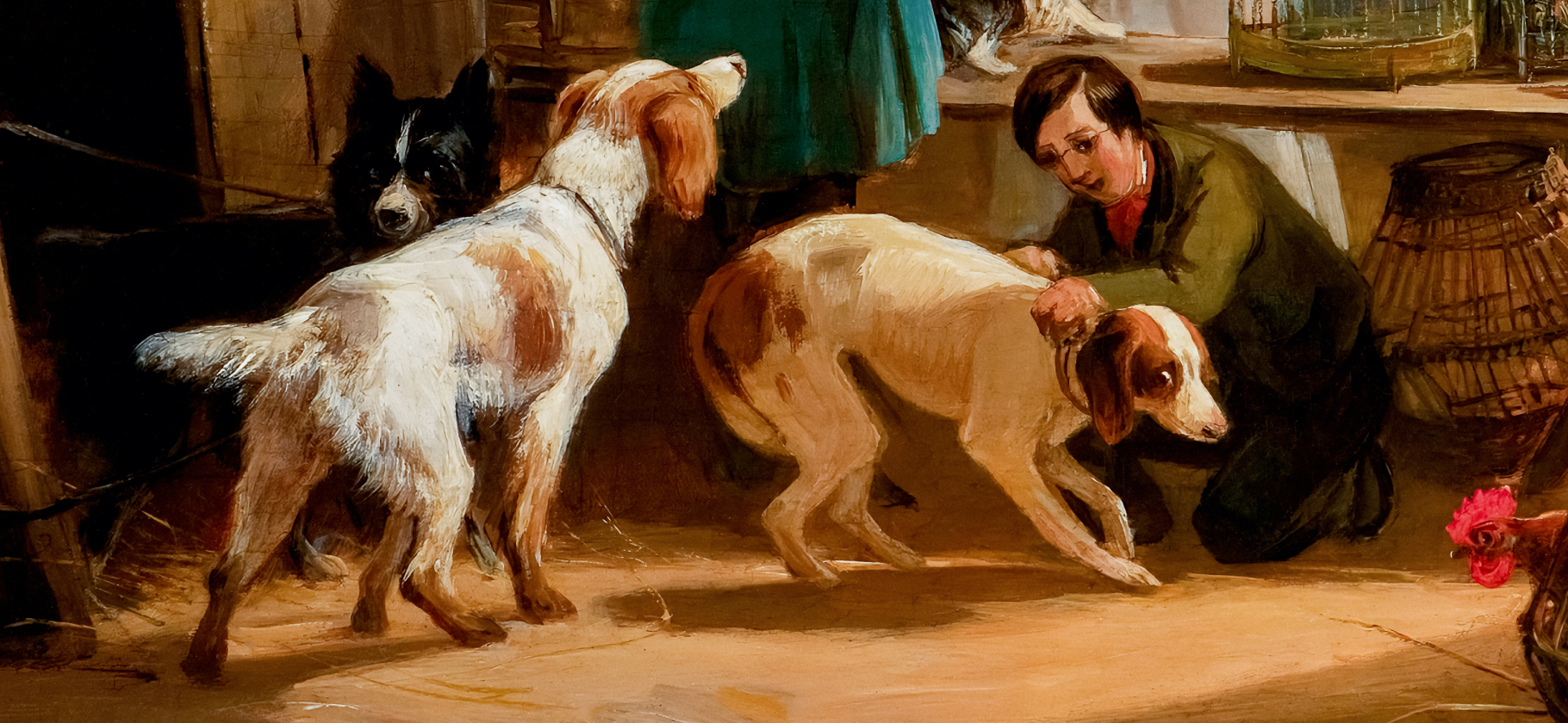 Как вы считаете, стоит ли​ помогать всем уличным животным?