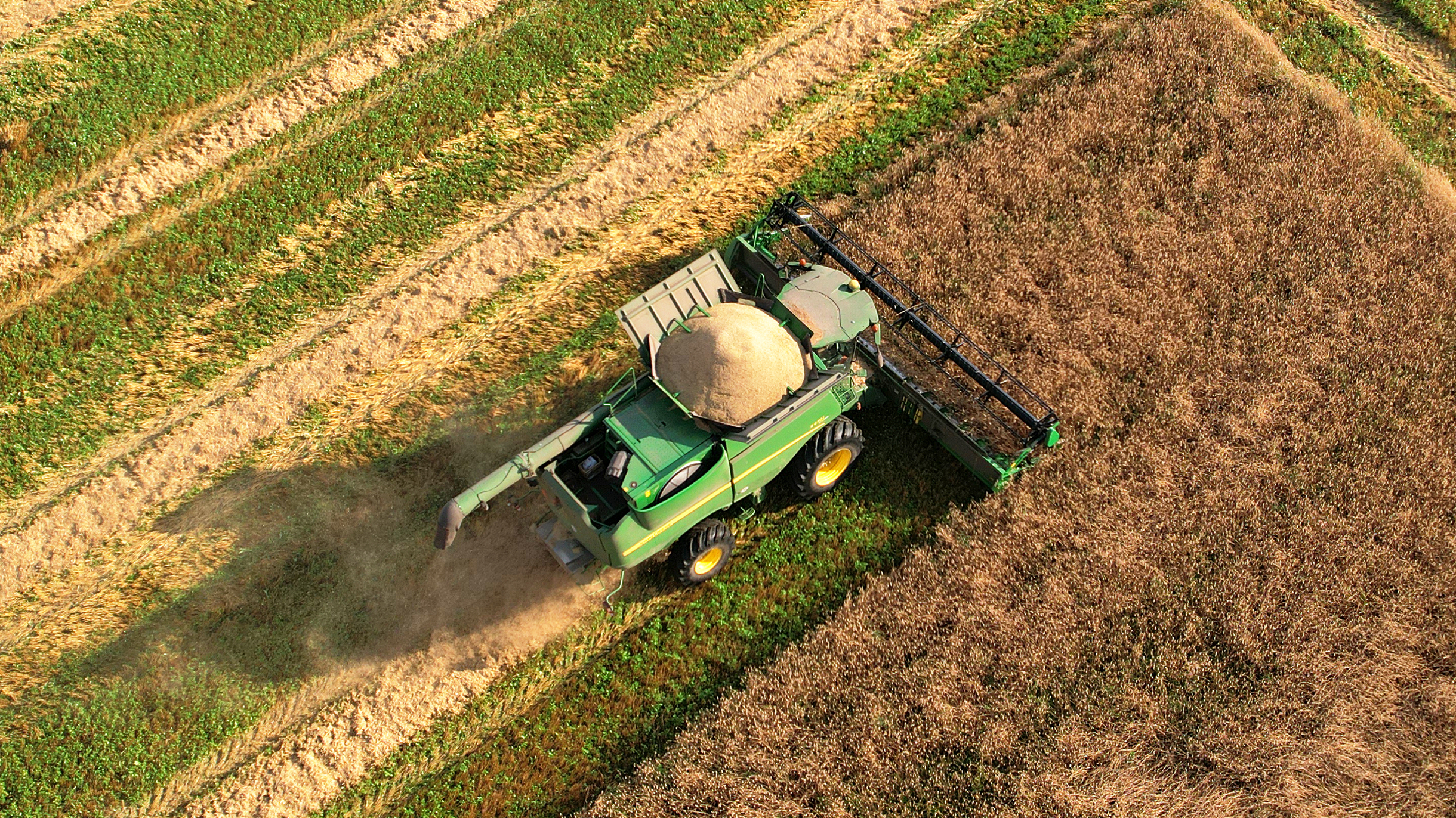 Почему российские фермеры несут убытки при рекордных ценах на зерно