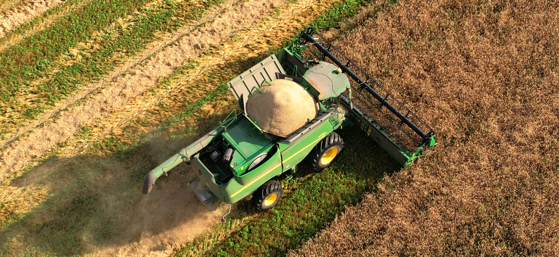 Почему российские фермеры несут убытки при рекордных ценах на зерно