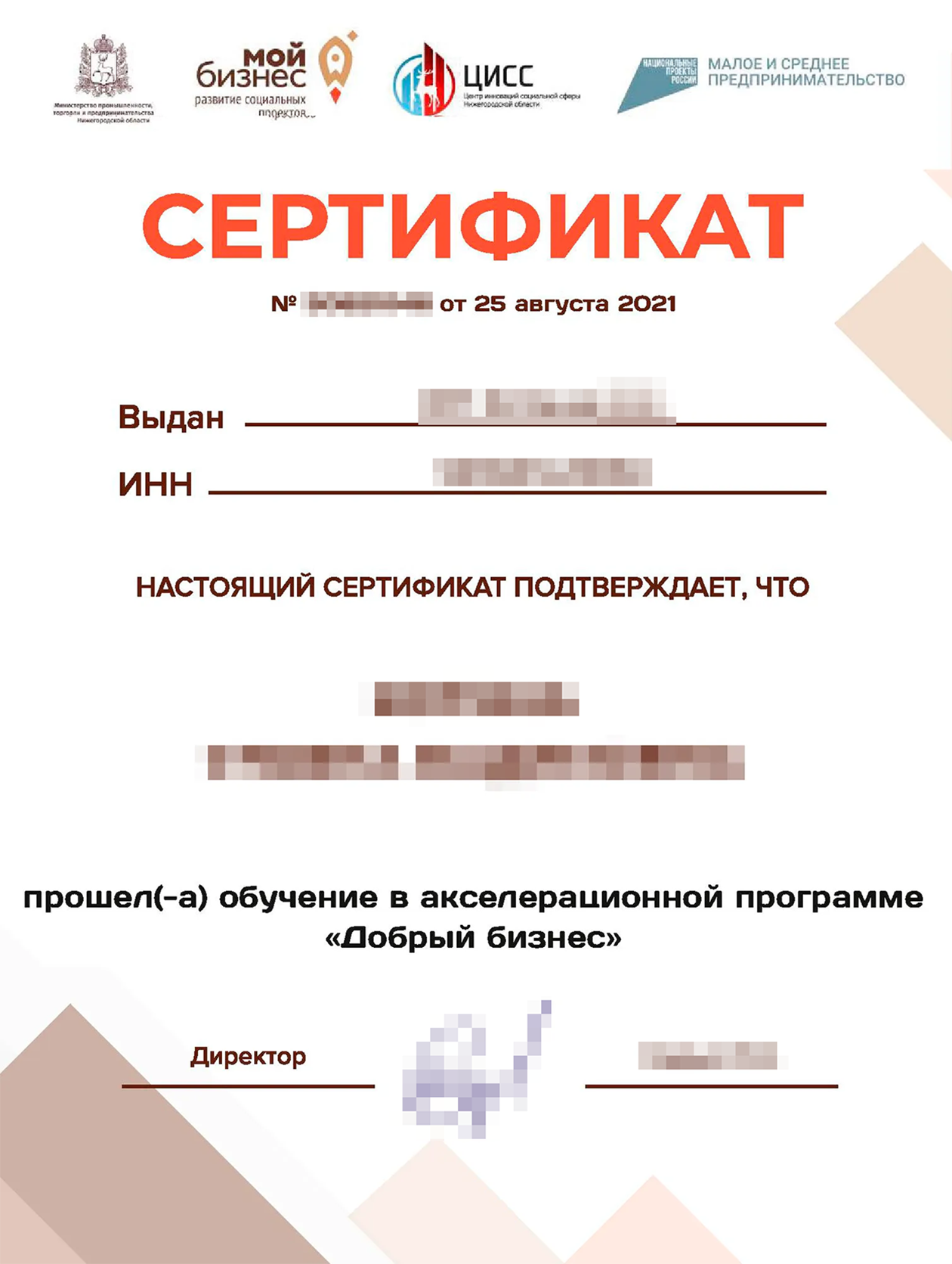 Так выглядит сертификат о прохождении обучения в Нижегородской области