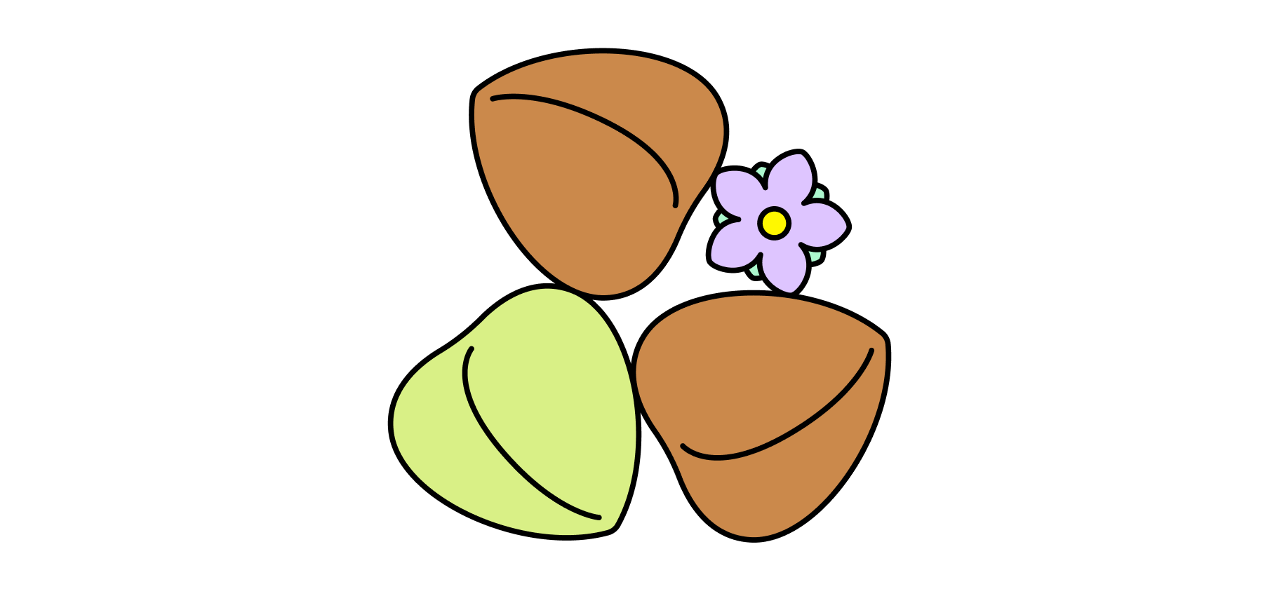 Говорят, что зеленая гречка полезнее коричневой. Правда?