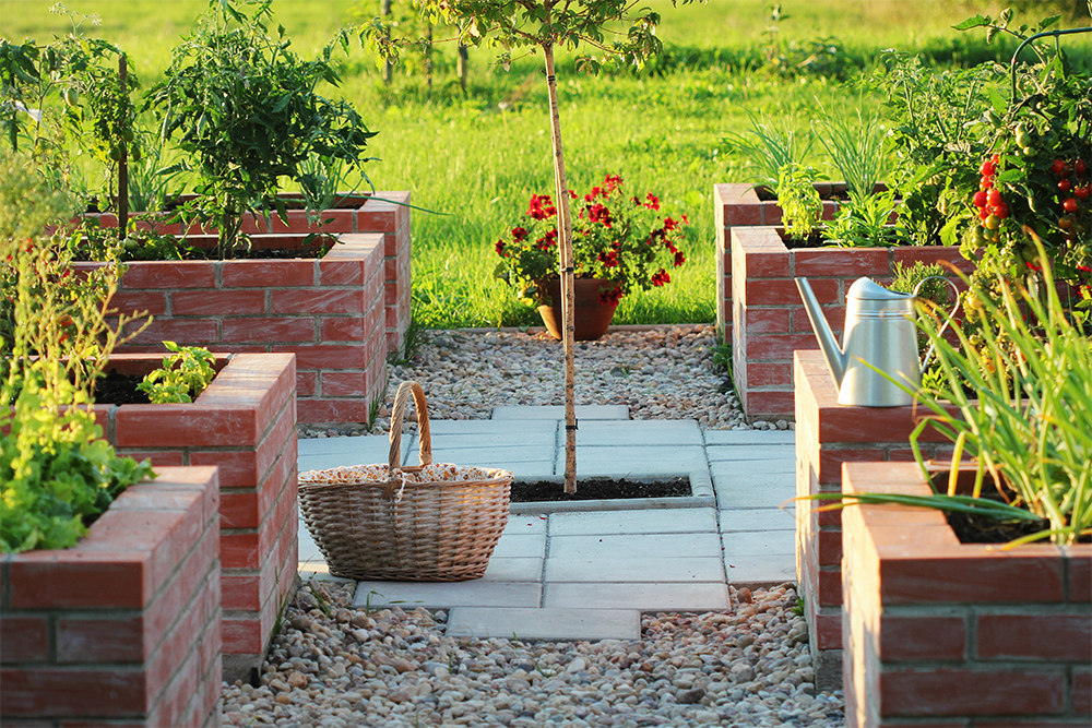 Грядки из кирпича выглядят внушительно, но перепланировать такой огород сложно. Источник: vaivirga / Shutterstock