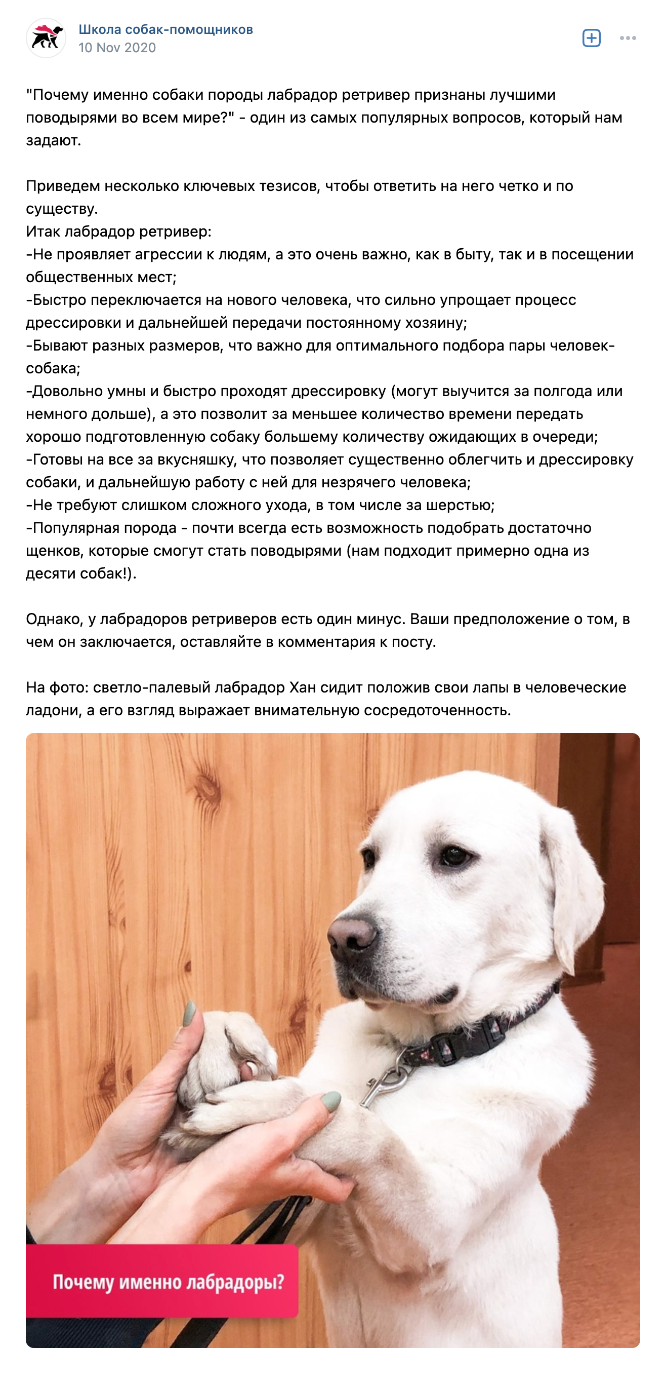 В группе «Школа собак-помощников» во «Вконтакте» учебно-кинологического центра приводят и другие аргументы в пользу этой породы