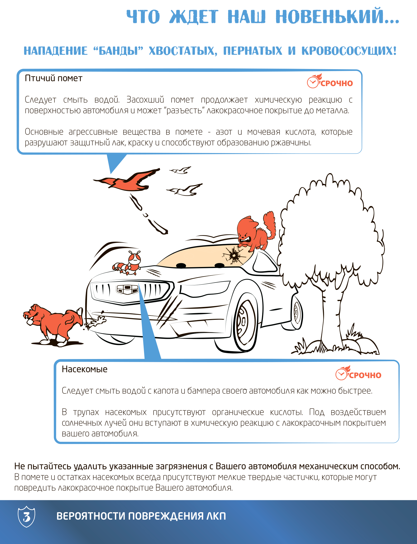 В брошюре «Правила ухода за ЛКП автомобиля» Geely есть пункт о вреде птичьего помета. Источник: geely-motors.com