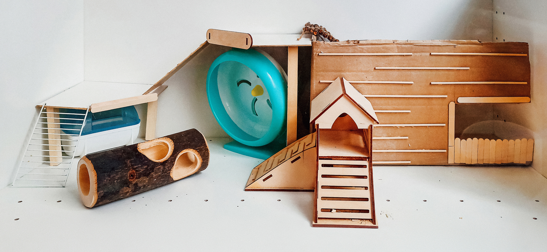 «Хотелось сэконо­мить деньги и сде­лать как надо»: я собрала витрину для хомяка за 2 963 ₽