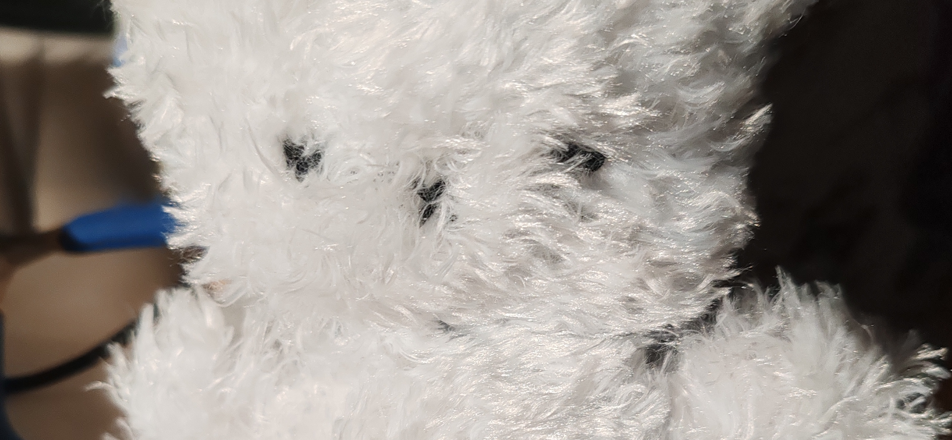 Ручная работа: плюшевая киса