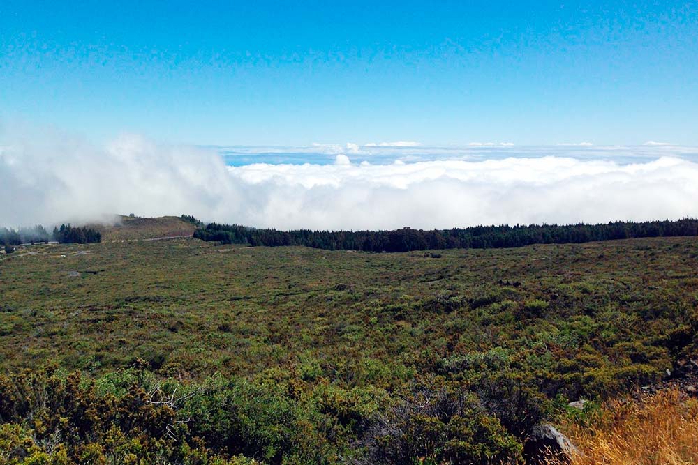 Фотография с дороги Кратер-роуд, ведущей к национальному парку Халеакала. Высота над землей — 3000 м