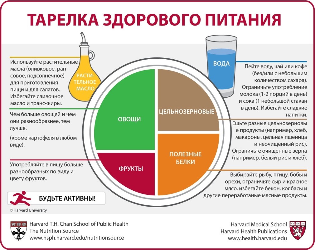 Гарвардская школа общественного здравоохранения разработала вариант тарелки здорового питания на русском языке