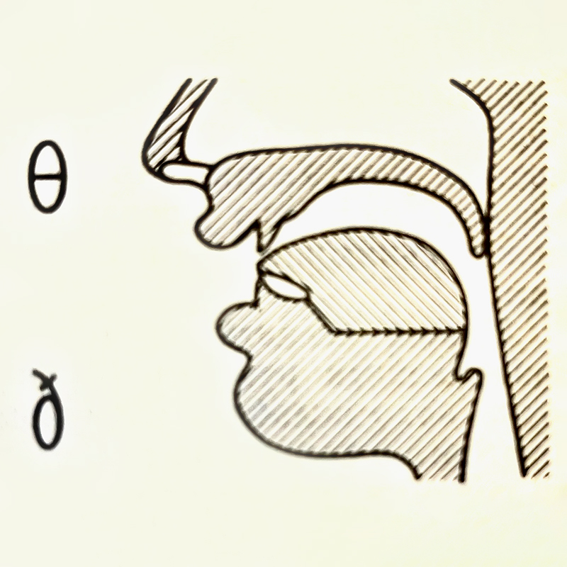 Так выглядит расположение органов речи, когда говорящий произносит межзубный звук. Источник: учебник для 1⁠-⁠го курса филологических факультетов Тамары Матюшкиной-Герке, 4⁠-⁠е издание
