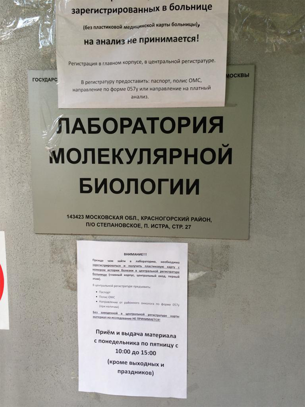 Для регистрации в Московской городской онкологической больнице № 62 требовалось направление 057⁠-⁠у, полис ОМС и паспорт