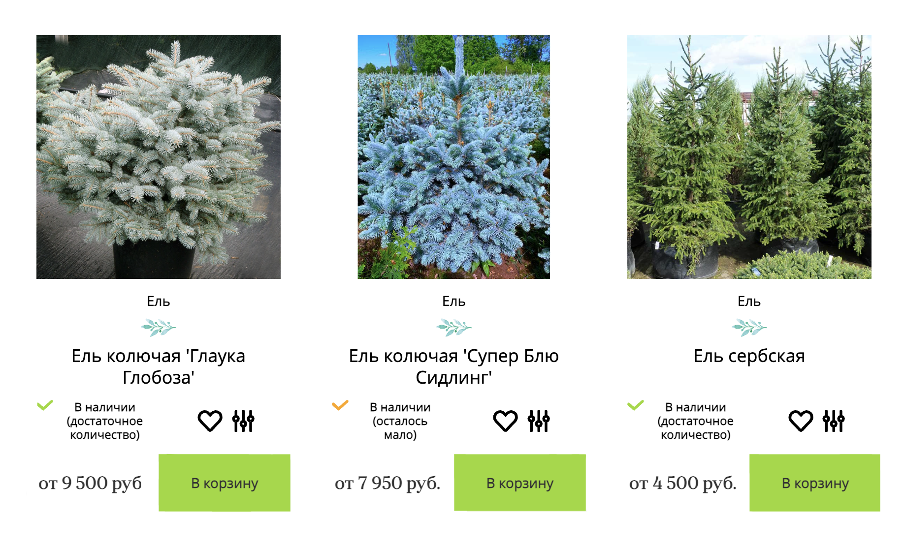Это цены на взрослые саженцы ели. Возможно, в питомниках можно купить и дешевле. Источник: «ПДК Южный»