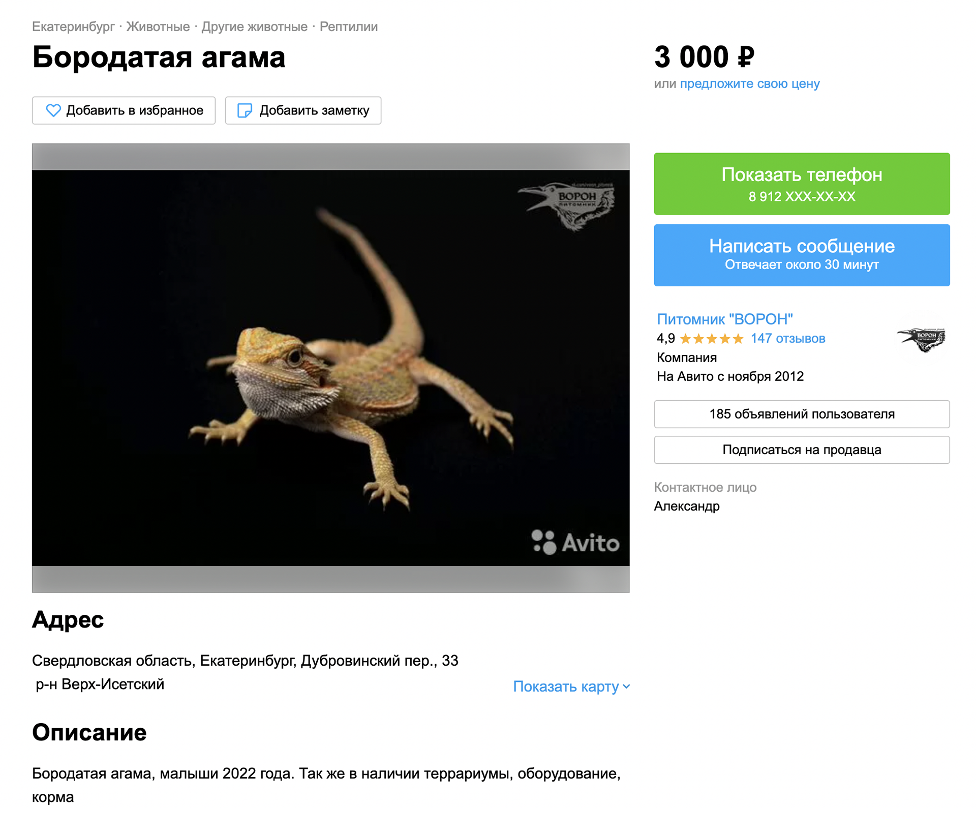 Этот питомник в Екатеринбурге предлагает агам за 3000 ₽, а также оборудование и корма. Источник: avito.ru