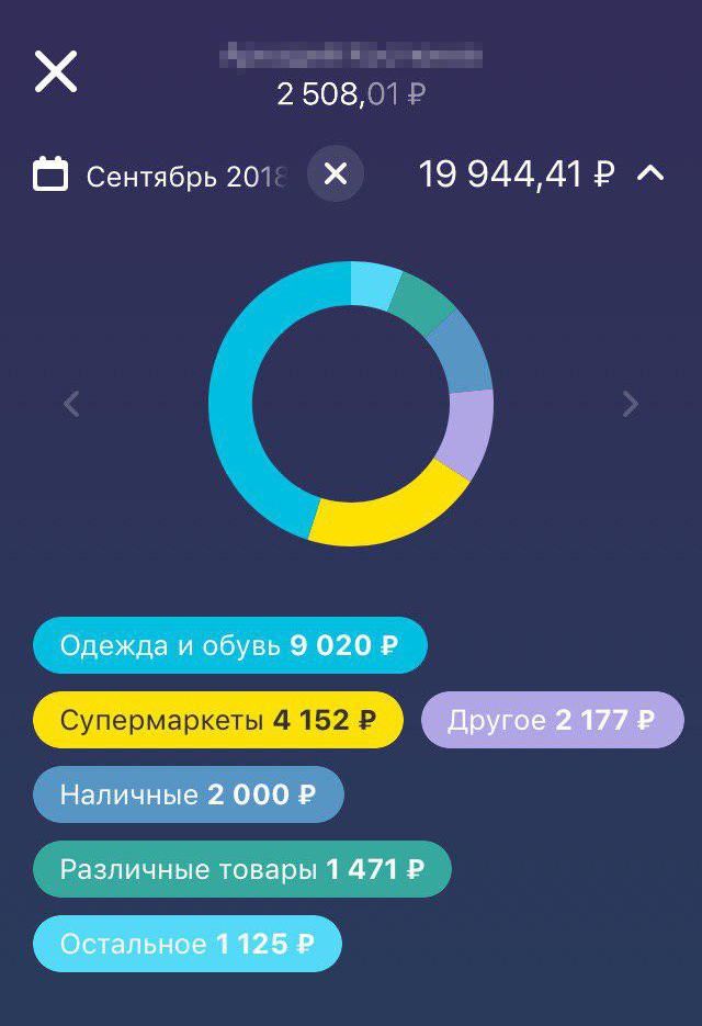 Мои дети пользуются Джуниор, поэтому мне нетрудно посмотреть, сколько они потратили в 2018/19 учебном году на чипсы и газировку. Кстати, наличные — это, вероятно, тоже расходы на еду и всякие модные в школе мелочи