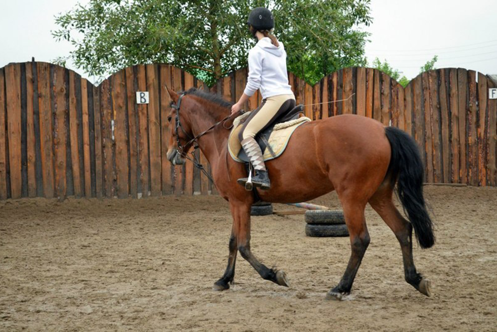 Человек и лошадь: во сколько обходятся занятия конным спортом