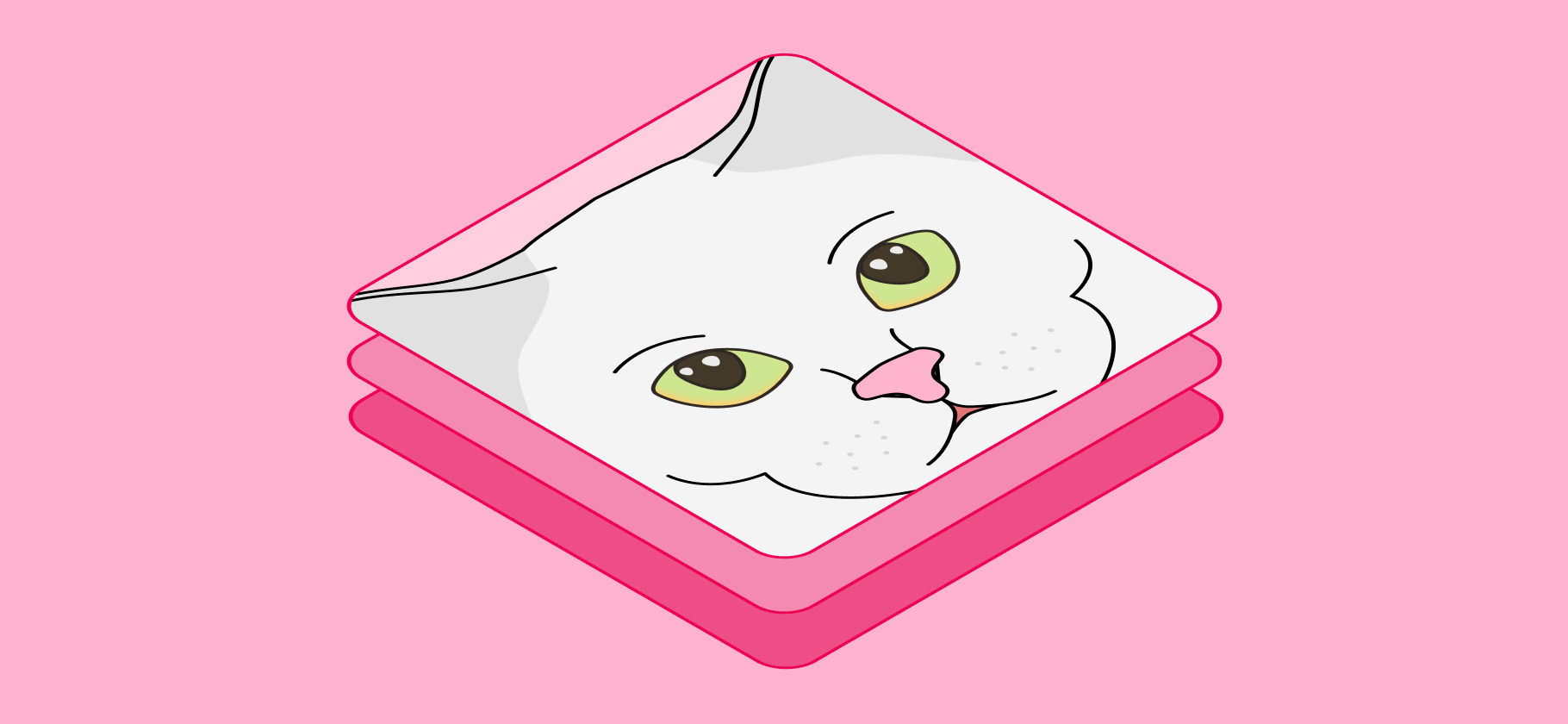 Как определить возраст кошки