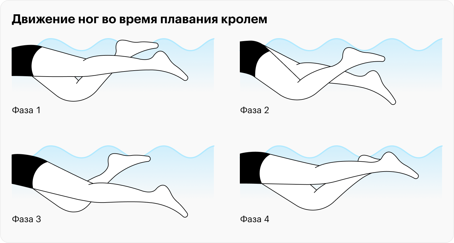 Во время плавания кролем стопы натянуты от себя: так увеличивается сила толчка и скорость продвижения вперед. При движении вниз нога сгибается в коленном суставе, а стопы выполняют завершающее движение — удар. При движении вверх нога выпрямляется