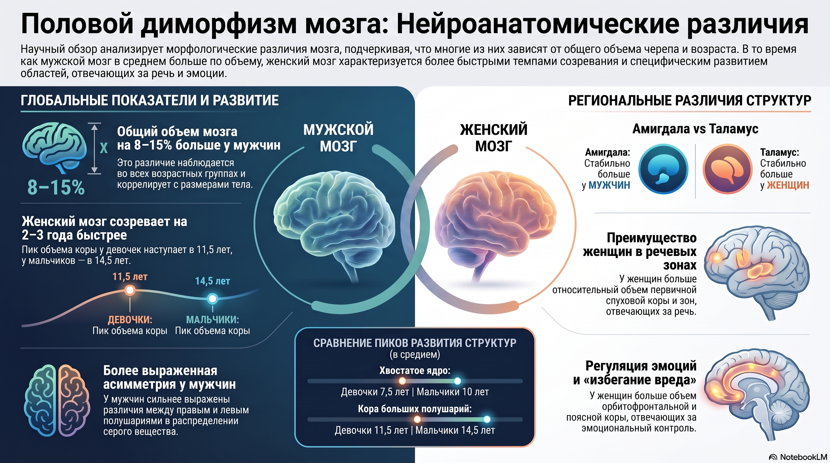 Инфографика в NotebookLM