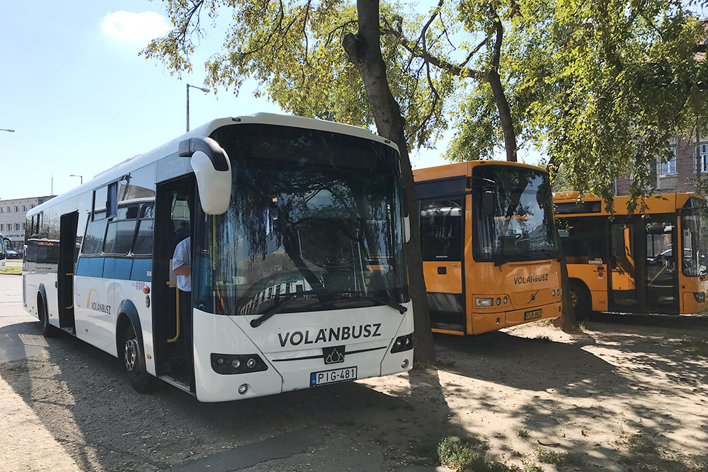 На коротких маршрутах чаще всего ездят желтые автобусы Volán Busz. В них сидения жесткие и не откидываются. А более комфортабельные белые автобусы отправляются на длинные маршруты