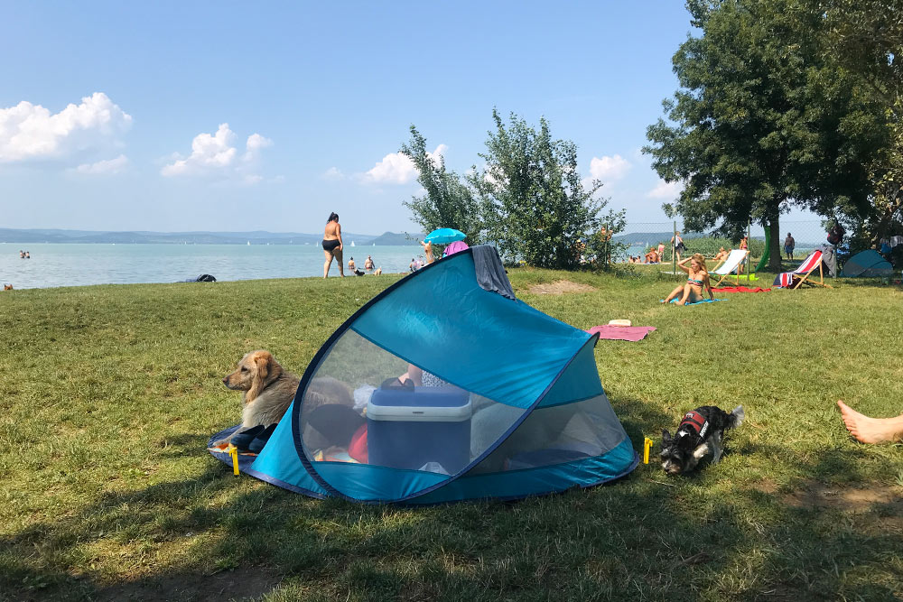 На дог-френдли пляж в Балатонфёльдваре многие берут с собой вот такие палатки