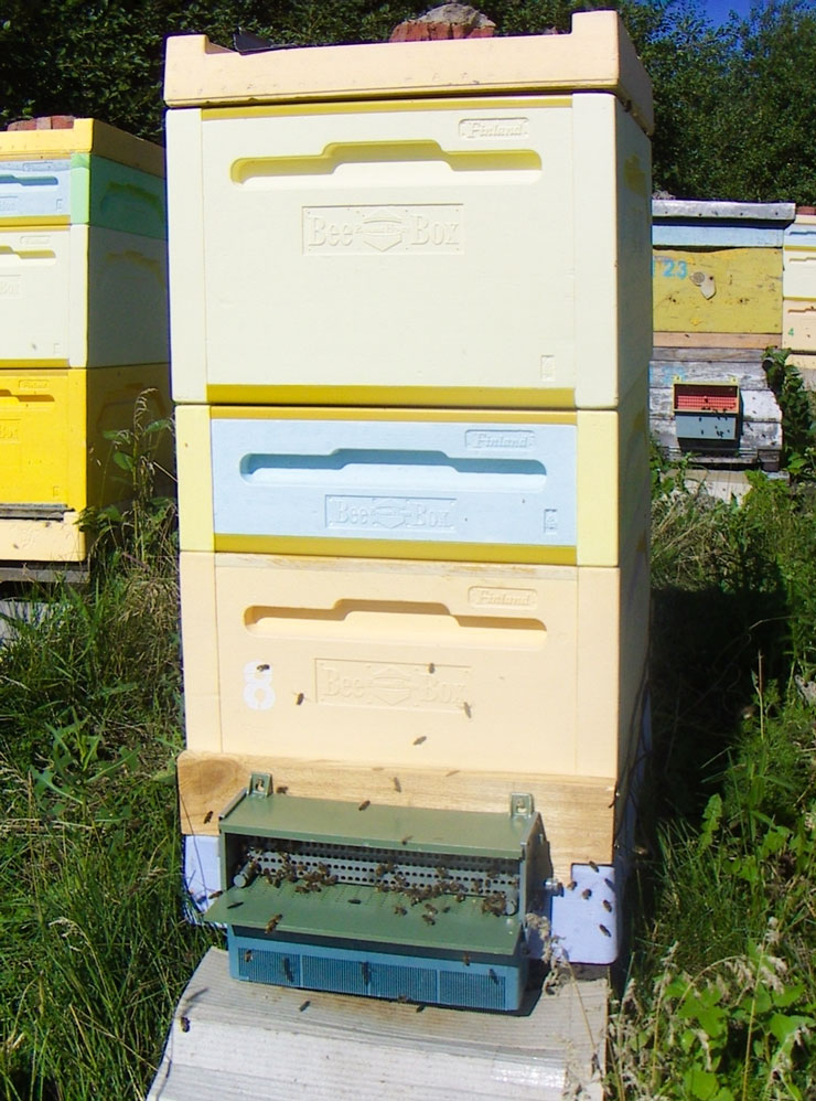 Улей Bee⁠-⁠Box в работе с установленным пыльцесборником
