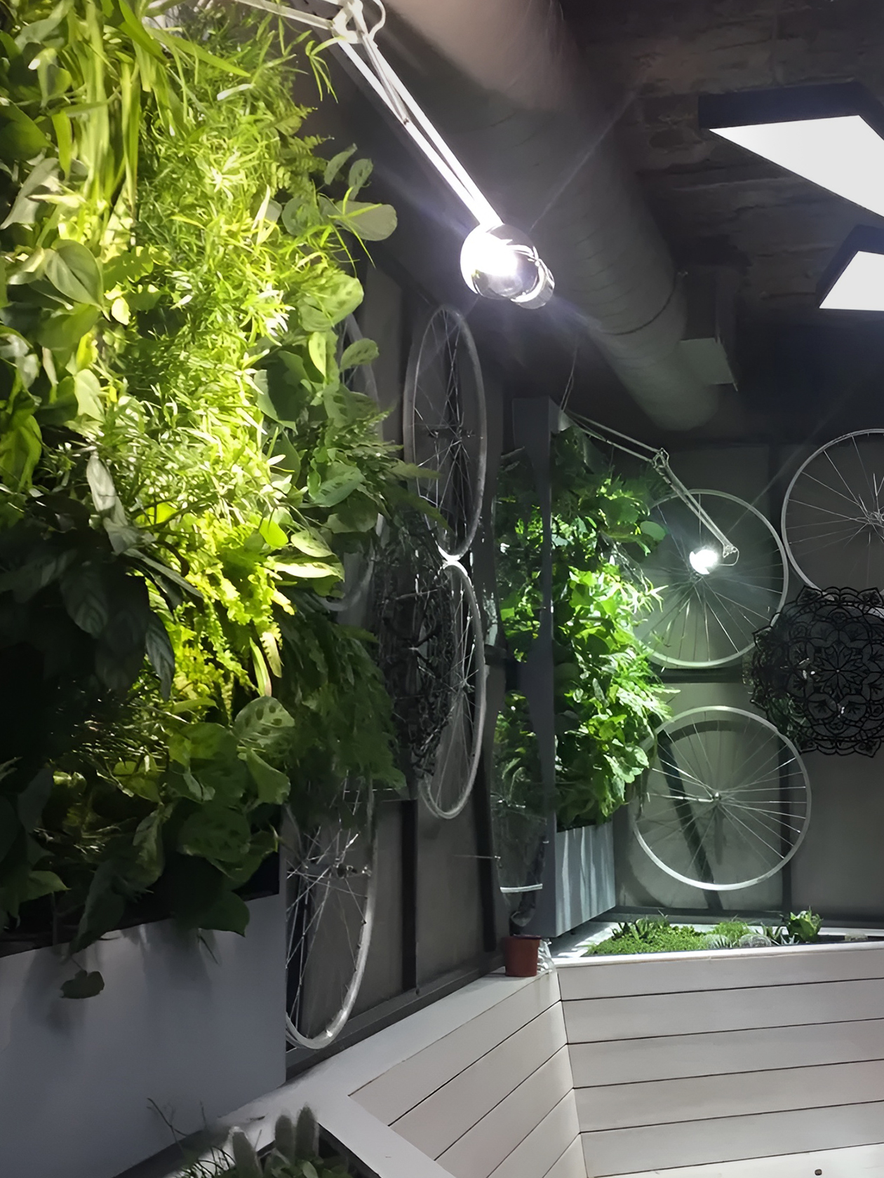В офисах клиентов мы можем высаживать растения в кашпо и оформлять «зеленые» стены
