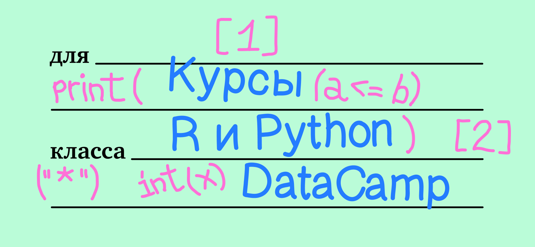 Я прошла курсы по R и Python на DataCamp и разобралась в основах программирования