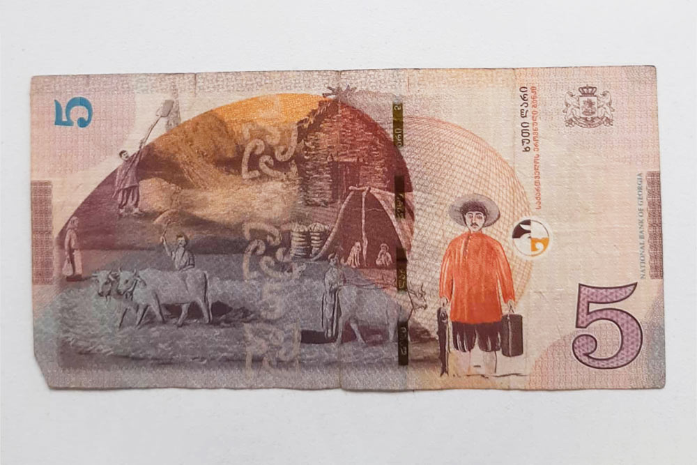 Так выглядят грузинские деньги — 5 GEL (120 рублей)