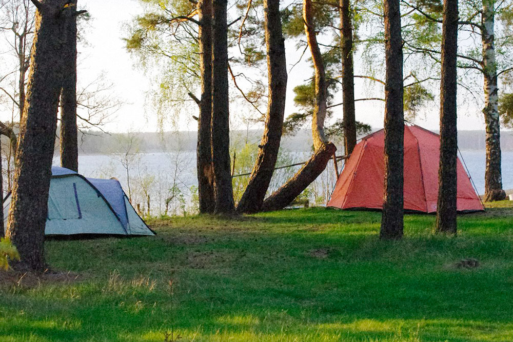 Наш лагерь стоит на пустой поляне. Мы всё привезли с собой: слева — палатка, справа — шатер с мебелью