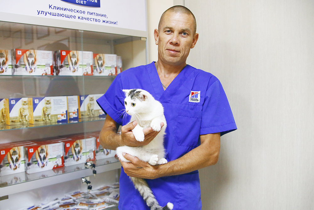 Кошка Катя на руках у Сергея. Волонтеры выкупили четырех больных котят у бездомных в переходе за 1000 рублей. Ветеринары вылечили всех. Троим нашли хозяев, а одну оставили себе