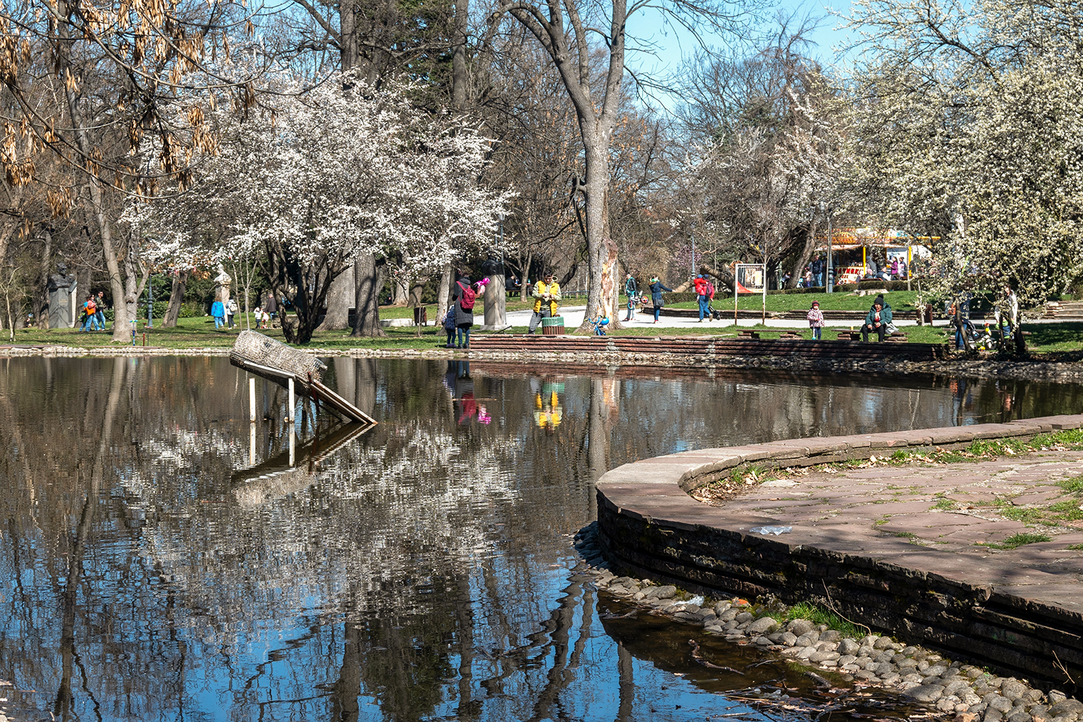 Цветущие весной деревья в парке. Фотография: stoyanh / Shutterstock