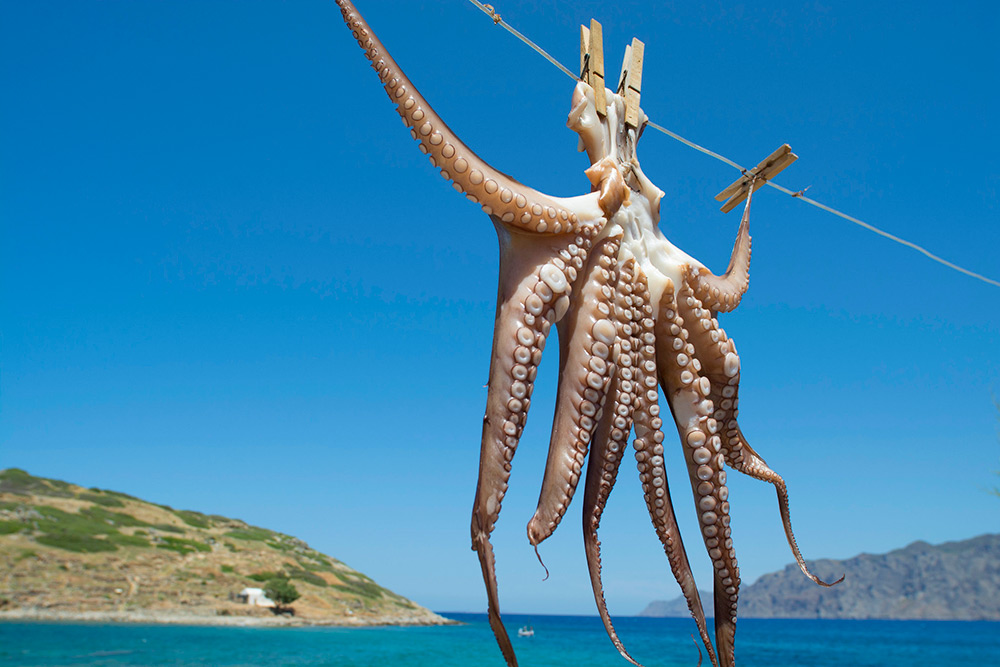 В прибрежных деревнях на Крите можно попробовать охтоподи — нежнейших осьминогов. Их жарят на углях, тушат в красном вине или маринуют