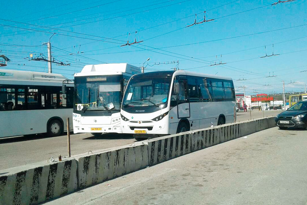 По внутригородским маршрутам курсируют новые автобусы