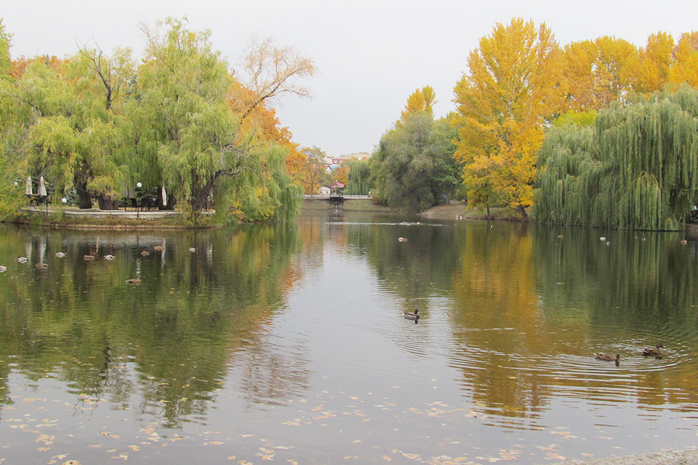 В центре парка находится большой пруд, в котором плавают утки
