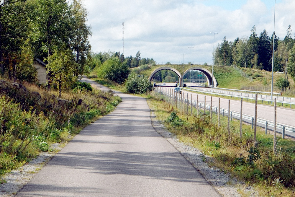 Типичная велопешеходная дорожка в Европе вдоль загородной автомагистрали