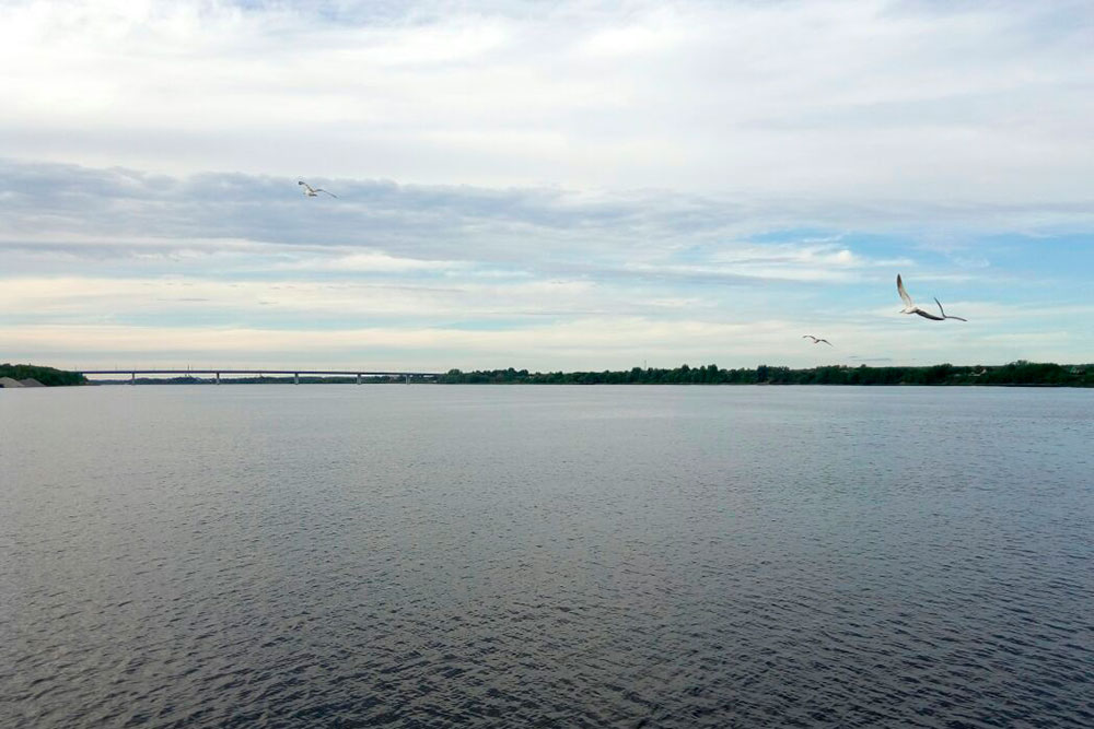 Волга — главная река города