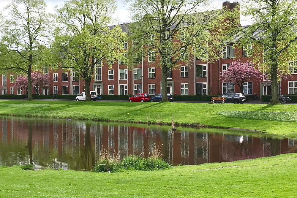 В одном из жилых кварталов Гронингена — сакура, пруд с корабликом и ярко-зеленая трава