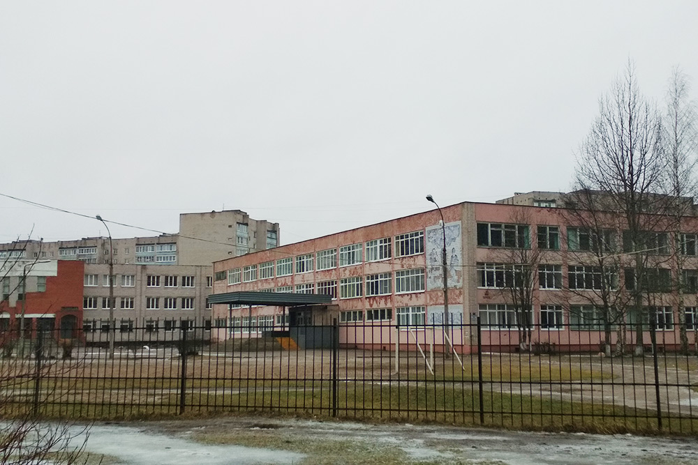 Школа № 31 в Псковском районе открылась в 1987 году, и с тех пор фасад не ремонтировали