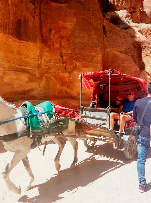 А еще туристов возят на багги с лошадьми