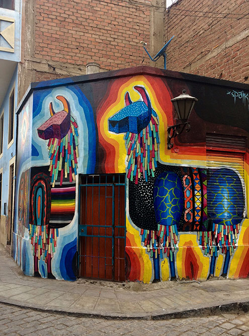 Кроме музея «Мали» современное искусство можно увидеть на улицах Лимы в районах Барранко и Ла-Пунта